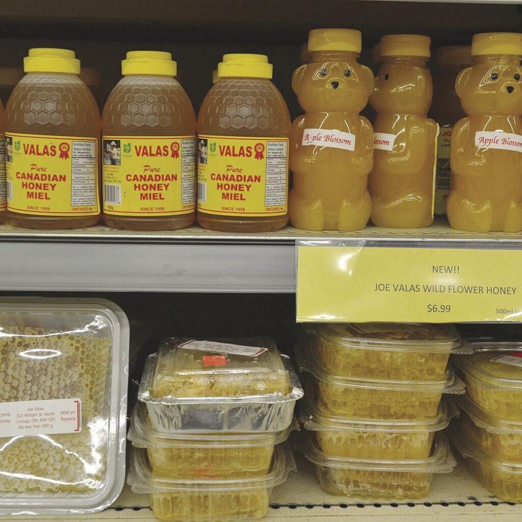 Fake Chinese Honey Still Imported To Canada