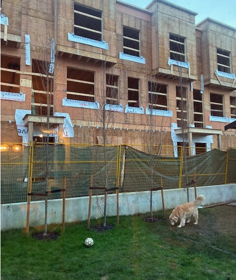 One Canadian Family’s Densification Nightmare