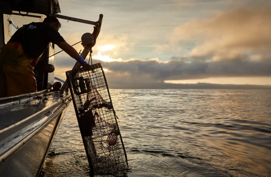 Aboriginal Treaty Rights Are Subject To Regulation