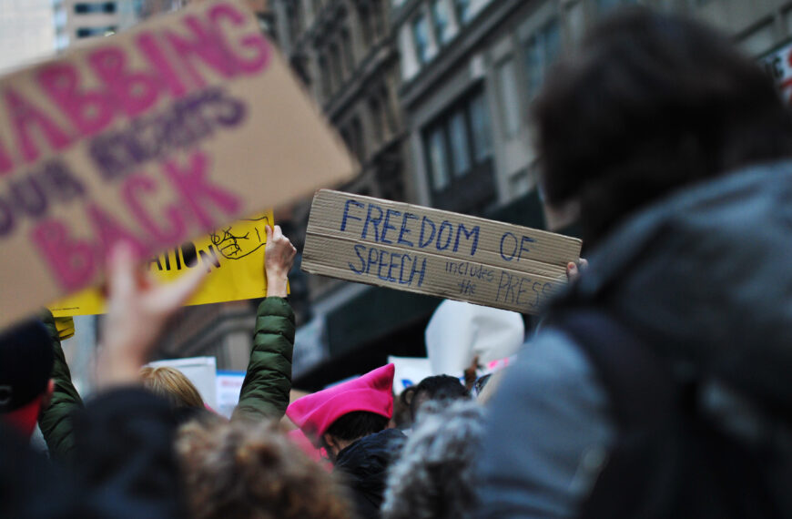 The Decay Of The Liberal Democracy