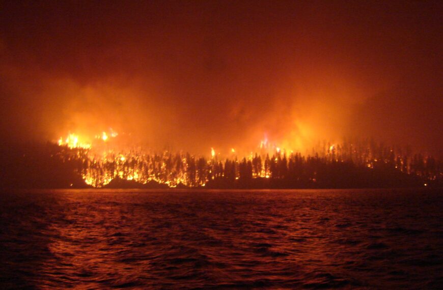 Wildfires: Options And Obstacles To Expanding Canada’s Waterbomber Fleet